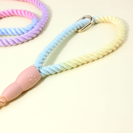 Colorful Vibrant Rainbow Ombre Rope Dog Leash - Durable Nylon P-Chain Slip Lead for Small & Medium Breeds.