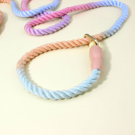 Colorful Vibrant Rainbow Ombre Rope Dog Leash - Durable Nylon P-Chain Slip Lead for Small & Medium Breeds.