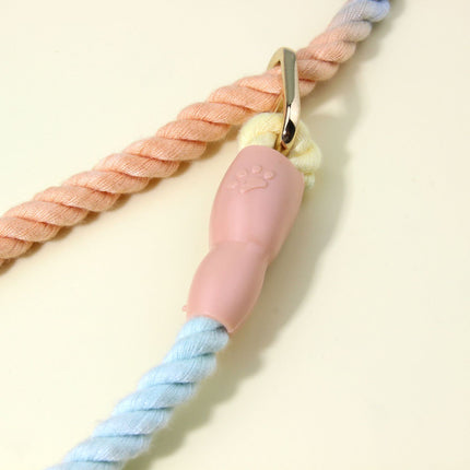 Colorful Vibrant Rainbow Ombre Rope Dog Leash - Durable Nylon P-Chain Slip Lead for Small & Medium Breeds.