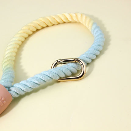 Colorful Vibrant Rainbow Ombre Rope Dog Leash - Durable Nylon P-Chain Slip Lead for Small & Medium Breeds.