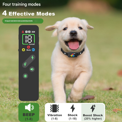 Pet Care Cartoz.