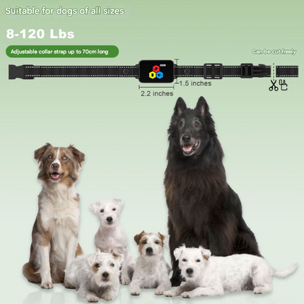 Pet Care Cartoz.