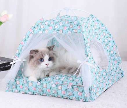 Pet Care.