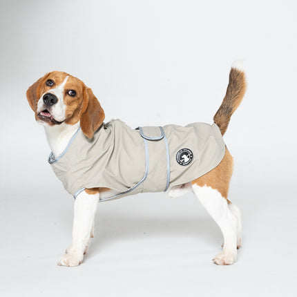 Pet Care Cartoz.