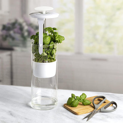 White Premium Herb Savor & Freshness Keeper - Extends Life of Herbs, Cilantro, Parsley & More.