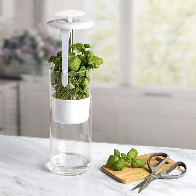 White Premium Herb Savor & Freshness Keeper - Extends Life of Herbs, Cilantro, Parsley & More.
