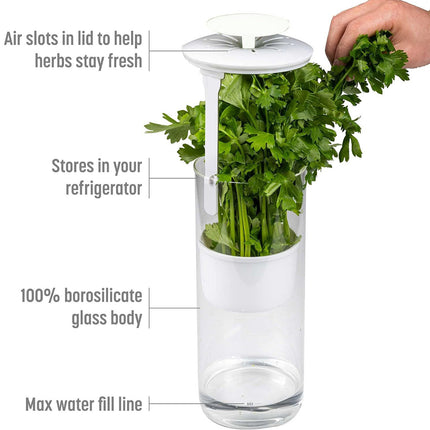 White Premium Herb Savor & Freshness Keeper - Extends Life of Herbs, Cilantro, Parsley & More.