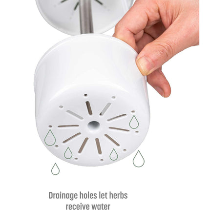 White Premium Herb Savor & Freshness Keeper - Extends Life of Herbs, Cilantro, Parsley & More.