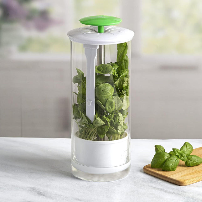 Green Premium Herb Savor & Freshness Keeper - Extends Life of Herbs, Cilantro, Parsley & More.