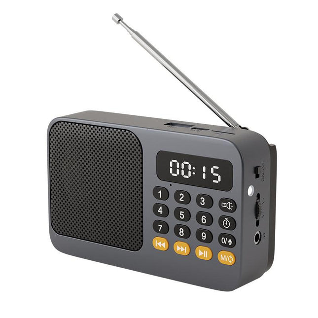 Portable Digital Music Player & FM Radio,4 Playback Modes, LED Flashlight(Gray).