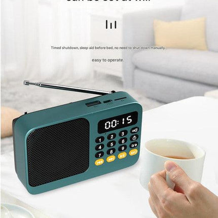 Portable Digital Music Player & FM Radio,4 Playback Modes, LED Flashlight(Gray).
