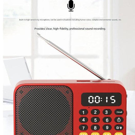 Portable Digital Music Player & FM Radio,4 Playback Modes, LED Flashlight(Gray).