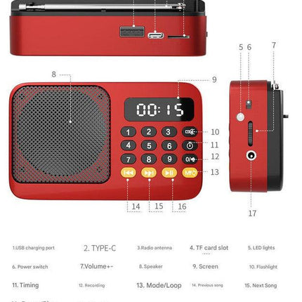 Portable Digital Music Player & FM Radio,4 Playback Modes, LED Flashlight(Gray).