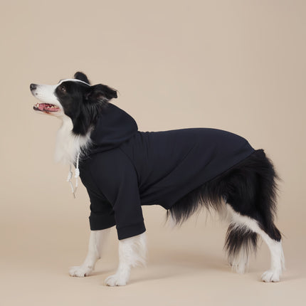 Pet Care Cartoz.