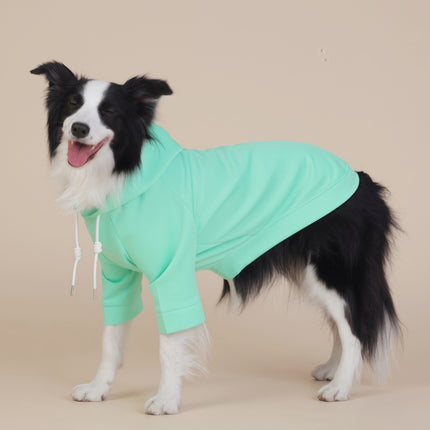Pet Care.