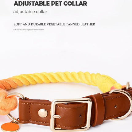 Pet Care.