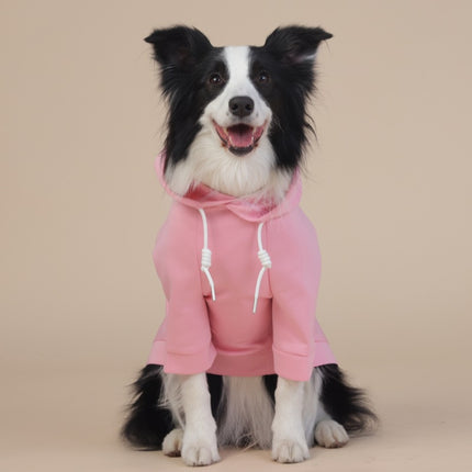 Pet Care.