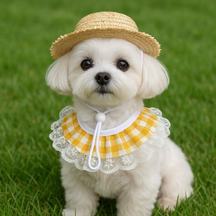 Pet Care Cartoz.