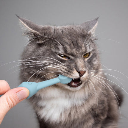 6 x Silicone Pet Toothbrush (3 Fish shape and 3 Bone shape) Green Gentle Food-Grade Silicone Pet Toothbrush - Promotes Healthy Teeth & Gums for Dogs & Cats.