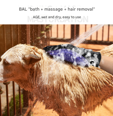 Pet Care Cartoz.