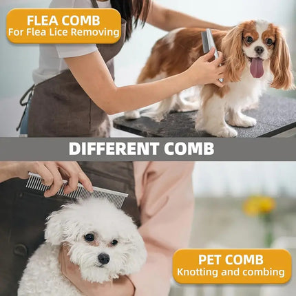 Pet Care Cartoz.