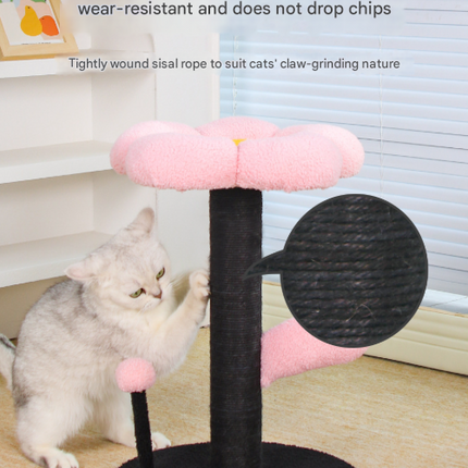 Pet Care.