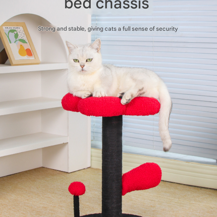 Pet Care.