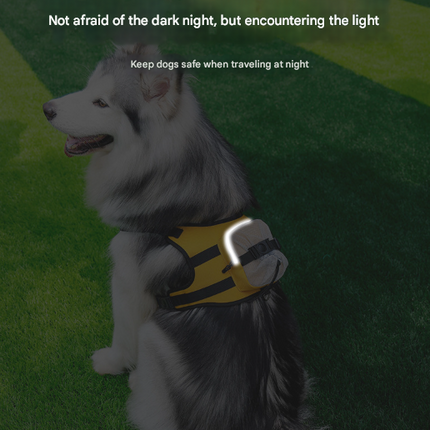 Pet Care Cartoz.