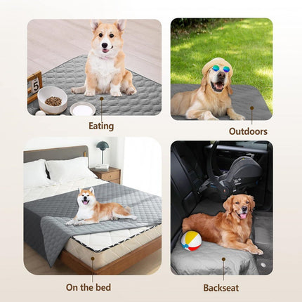 Pet Care Cartoz.