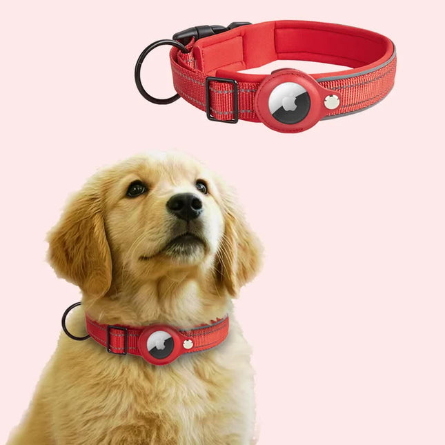 Pet Care.