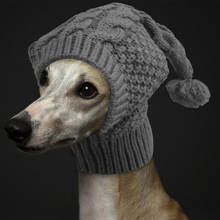 Pet Care.
