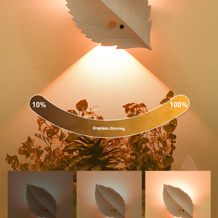 Home & Garden Cartoz.