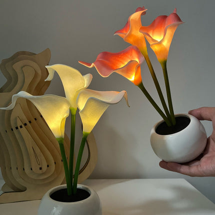 Home & Garden Cartoz.