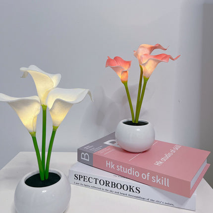 Home & Garden Cartoz.