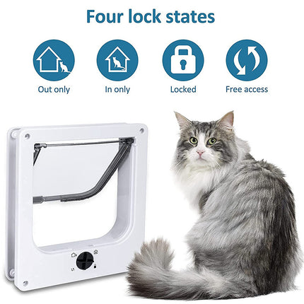 Pet Care Cartoz.