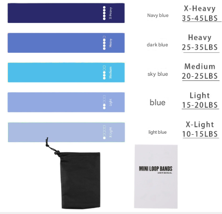 Blue 10 Pieces of 2 Sets Premium Resistance Loop Bands - Fitness Exercise Bands for Legs, Glutes, and Strength Training with Carry Bag.