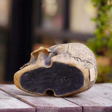 Mystic Runic Skull Statue with Gold Fang - Hand-Painted Resin Figurine for Gothic & Halloween Decor.