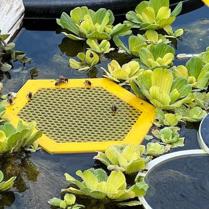 2PCS S 180x160x3mm Purple Floating Bee Saver Waterer - Safe Drinking Platform for Garden Ponds & Bird Baths.