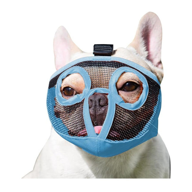 Pet Care.