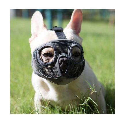 Pet Care.