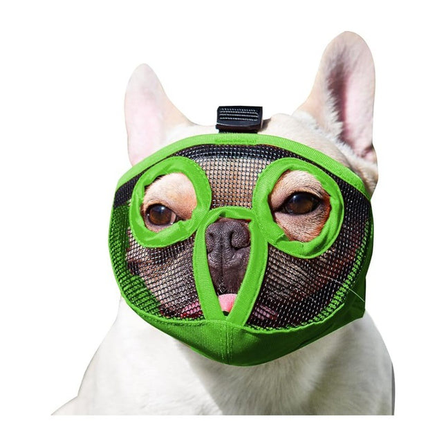Pet Care.