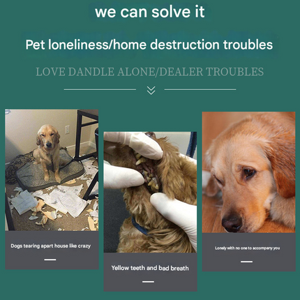 Pet Care.