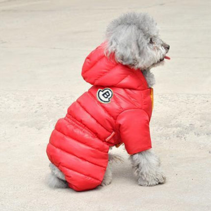 Pet Care Cartoz.