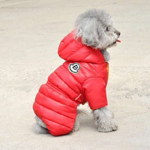 Pet Care.
