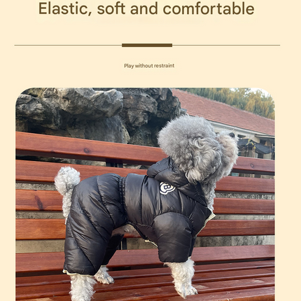 Pet Care Cartoz.