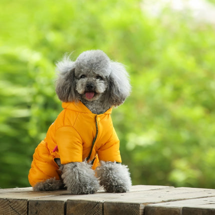 Pet Care Cartoz.