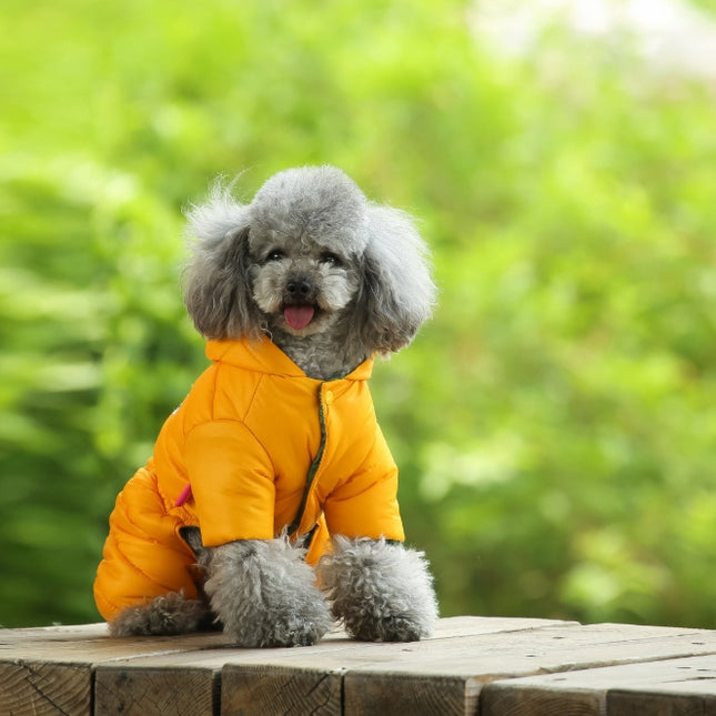 Pet Care.