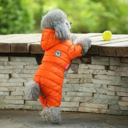 Pet Care Cartoz.