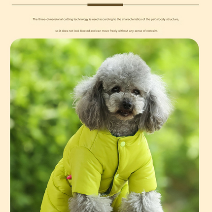 Pet Care Cartoz.