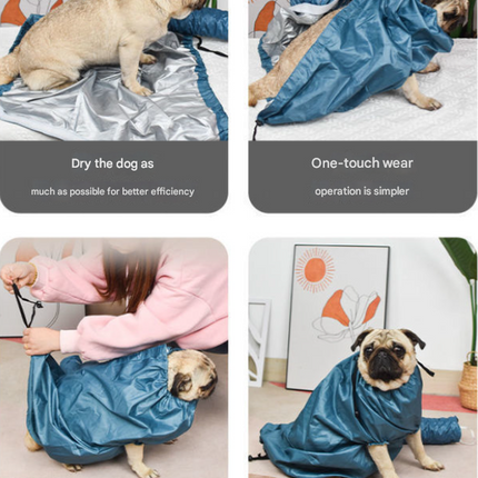 Pet Care Cartoz.